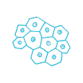 Cells
