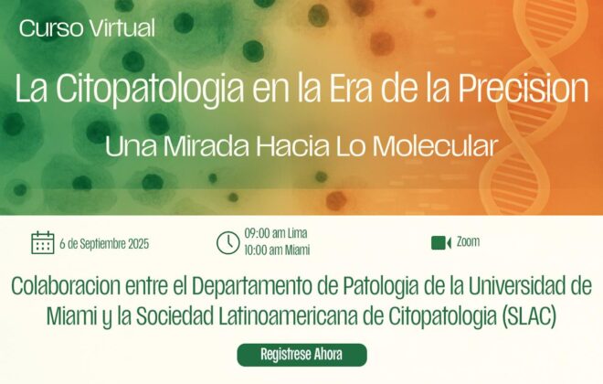 curso-precison