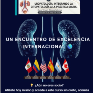 curso-uropatologia