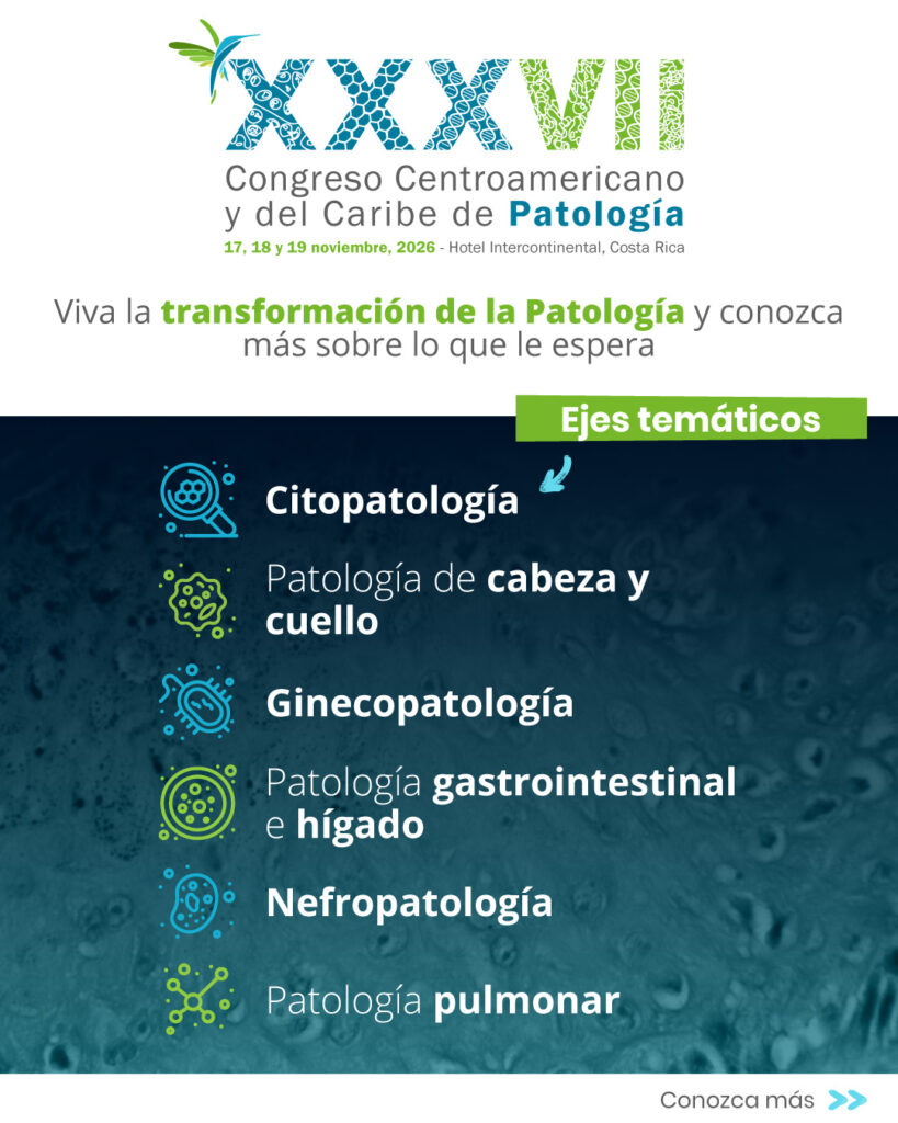 Curso Precongreso