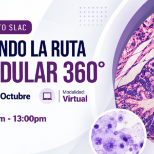 seguindo-la-rota-glandular