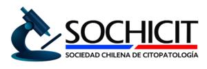 logo-sochicit